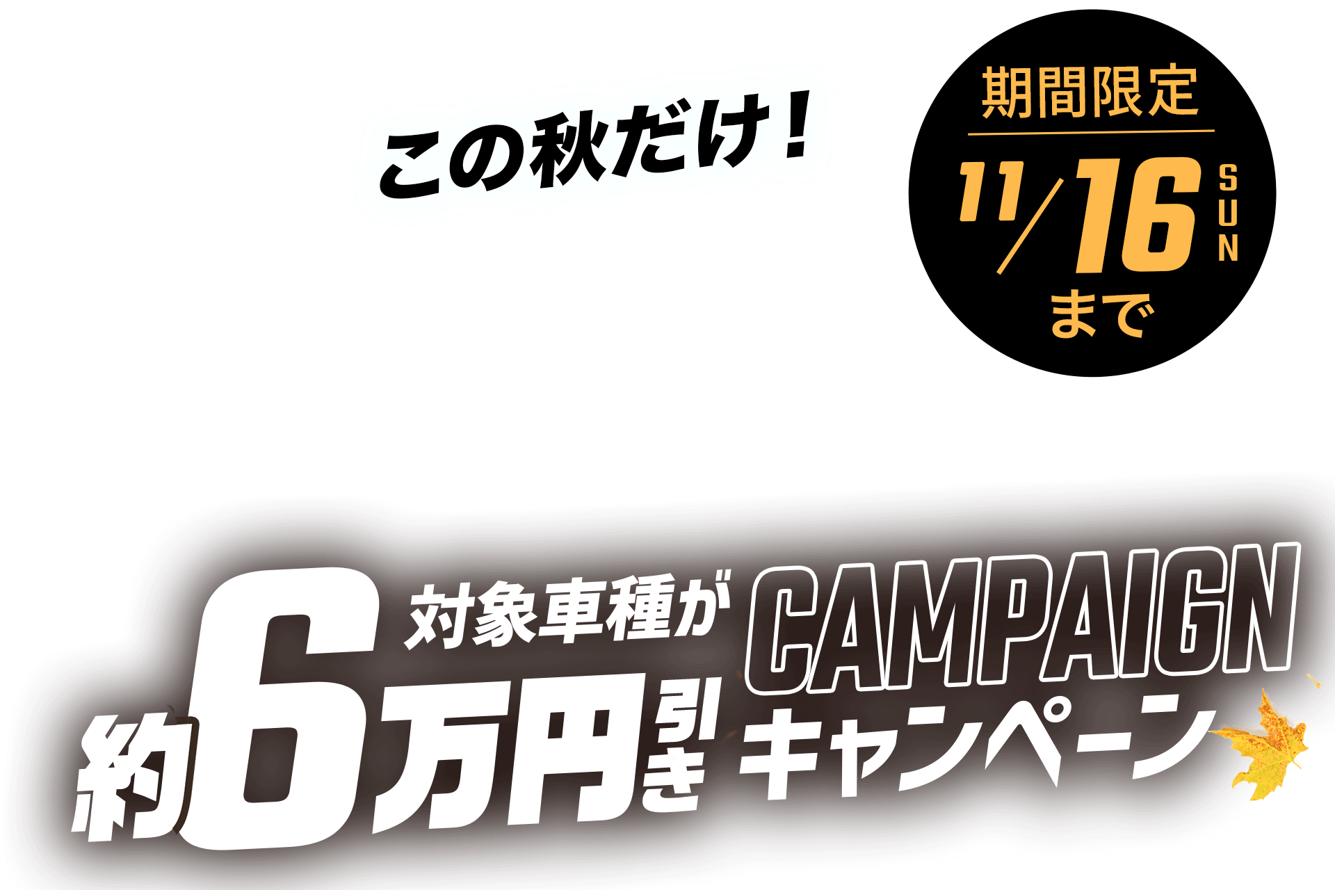 この秋だけ!対象車種が約6万円引きキャンペーン｜期間限定 11月16日(日)まで