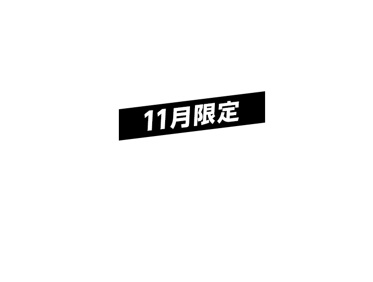 11月限定 | 話題のEVメーカーBYD車種が最大月額6600円値下げ！