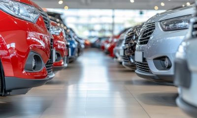 20代独身におすすめの人気車種12選！車選びのポイントや予算についても解説